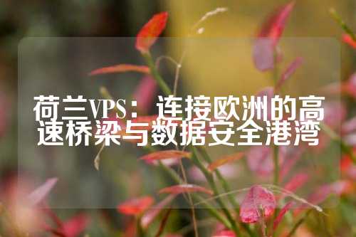 荷兰VPS：连接欧洲的高速桥梁与数据安全港湾