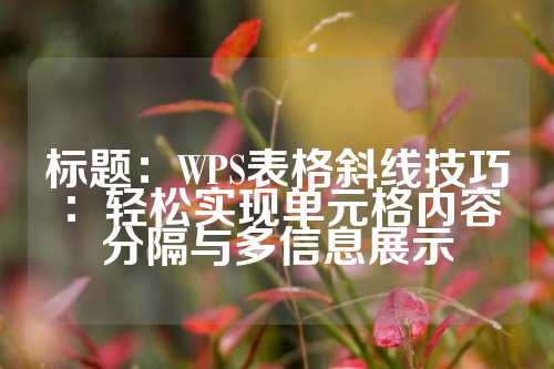 标题：WPS表格斜线技巧：轻松实现单元格内容分隔与多信息展示