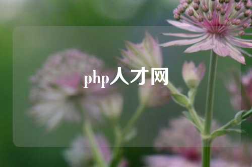 php人才网