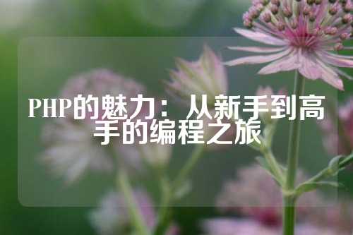 PHP的魅力：从新手到高手的编程之旅