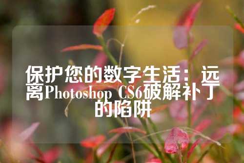 保护您的数字生活：远离Photoshop CS6破解补丁的陷阱