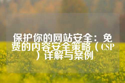 保护你的网站安全：免费的内容安全策略（CSP）详解与案例