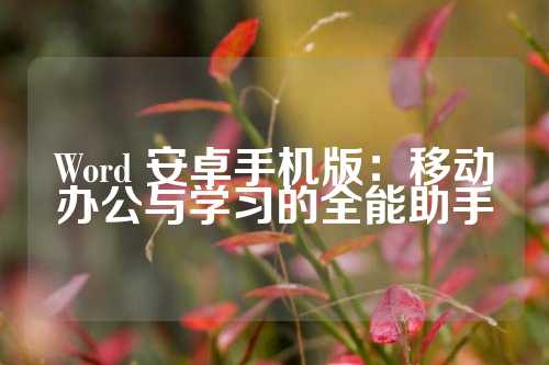 Word 安卓手机版：移动办公与学习的全能助手