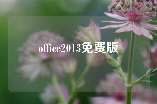 office2013免费版