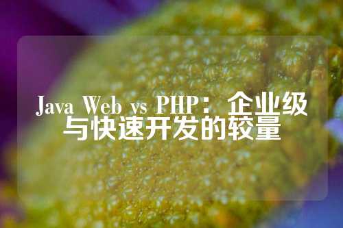 Java Web vs PHP：企业级与快速开发的较量