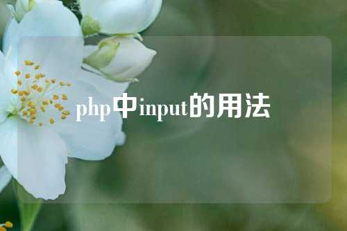 php中input的用法