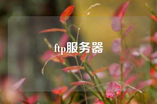 ftp服务器