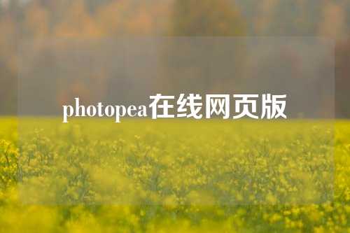 photopea在线网页版