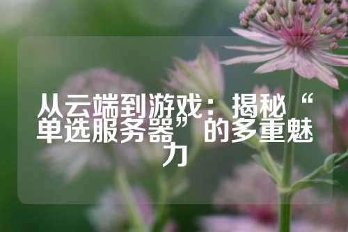 从云端到游戏：揭秘“单选服务器”的多重魅力