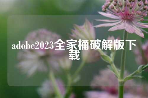 adobe2023全家桶破解版下载