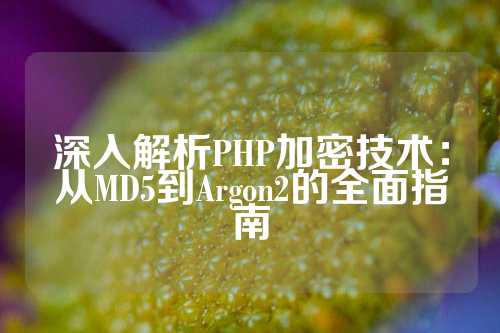 深入解析PHP加密技术：从MD5到Argon2的全面指南