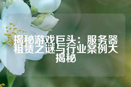 揭秘游戏巨头：服务器租赁之谜与行业案例大揭秘