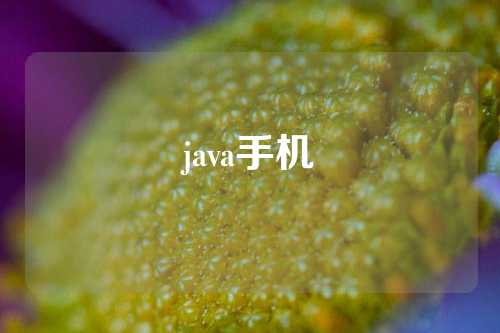 java手机