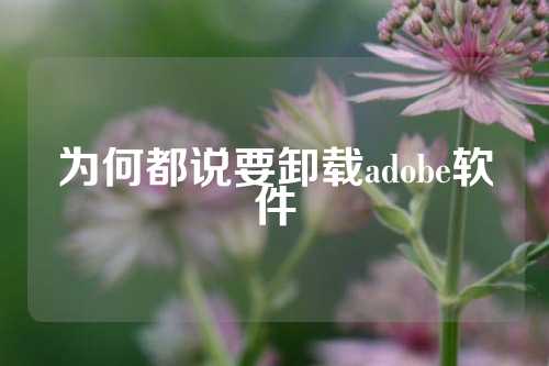 为何都说要卸载adobe软件