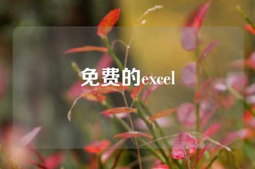 免费的excel