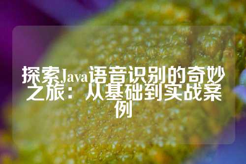 探索Java语音识别的奇妙之旅：从基础到实战案例