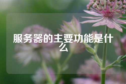 服务器的主要功能是什么