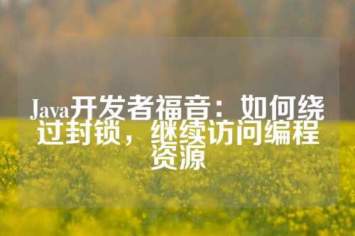 Java开发者福音：如何绕过封锁，继续访问编程资源