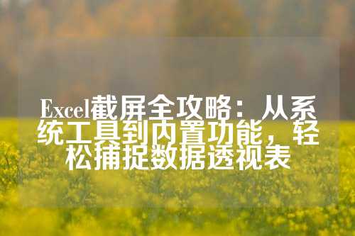 Excel截屏全攻略：从系统工具到内置功能，轻松捕捉数据透视表