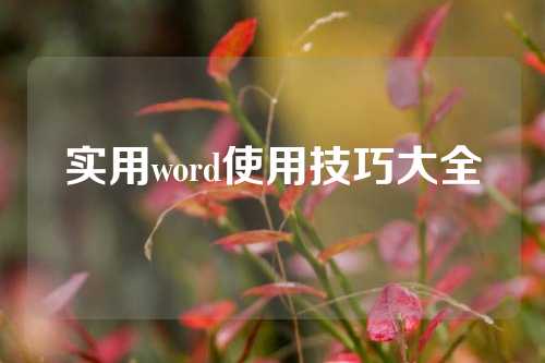 实用word使用技巧大全