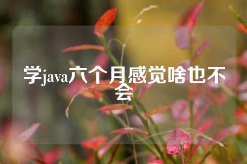 学java六个月感觉啥也不会