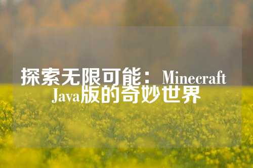 探索无限可能：Minecraft Java版的奇妙世界