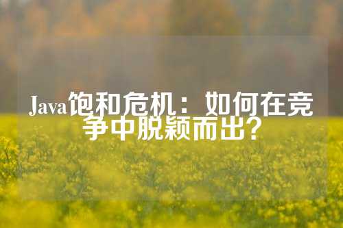 Java饱和危机：如何在竞争中脱颖而出？