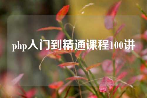 php入门到精通课程100讲