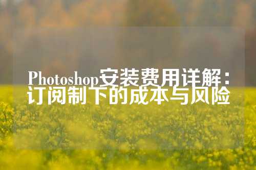 Photoshop安装费用详解：订阅制下的成本与风险