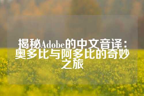 揭秘Adobe的中文音译：奥多比与阿多比的奇妙之旅