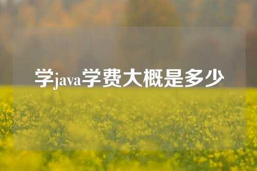 学java学费大概是多少