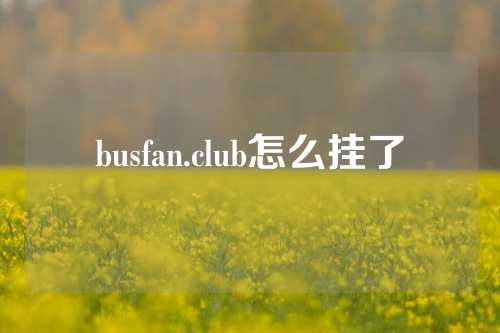 busfan.club怎么挂了