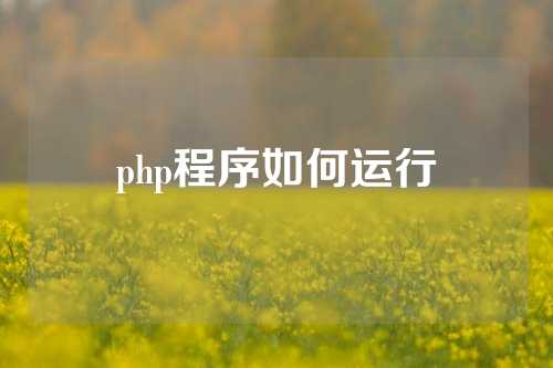 php程序如何运行