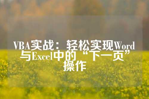 VBA实战：轻松实现Word与Excel中的“下一页”操作