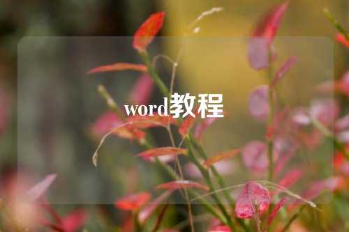 word教程