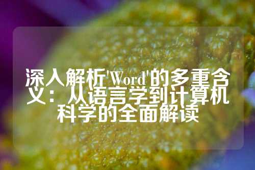 深入解析'Word'的多重含义：从语言学到计算机科学的全面解读