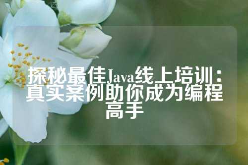 探秘最佳Java线上培训：真实案例助你成为编程高手