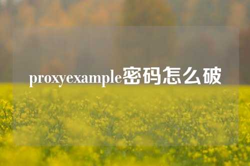 proxyexample密码怎么破