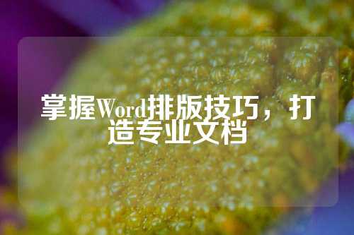 掌握Word排版技巧，打造专业文档