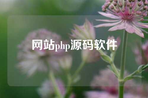 网站php源码软件