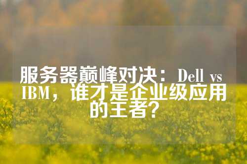 服务器巅峰对决：Dell vs IBM，谁才是企业级应用的王者？