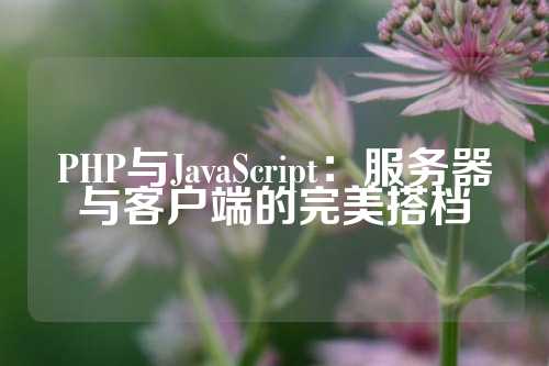 PHP与JavaScript：服务器与客户端的完美搭档