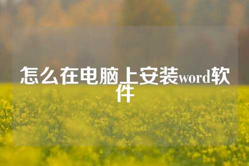 怎么在电脑上安装word软件