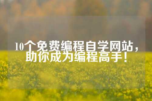 10个免费编程自学网站，助你成为编程高手！