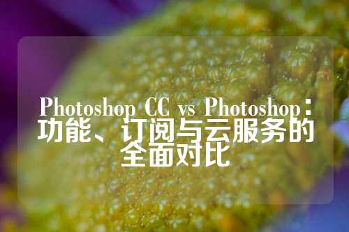 Photoshop CC vs Photoshop：功能、订阅与云服务的全面对比