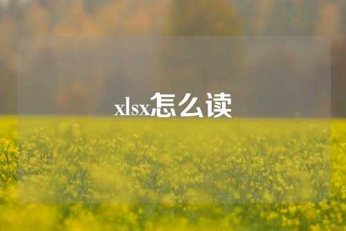 xlsx怎么读