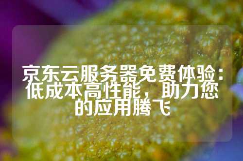 京东云服务器免费体验：低成本高性能，助力您的应用腾飞