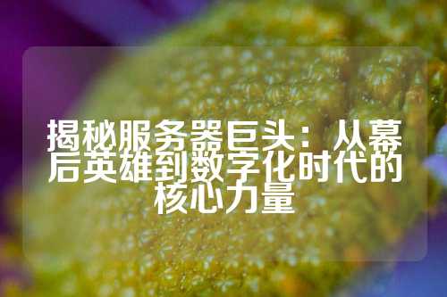 揭秘服务器巨头：从幕后英雄到数字化时代的核心力量