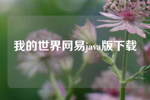 我的世界网易java版下载