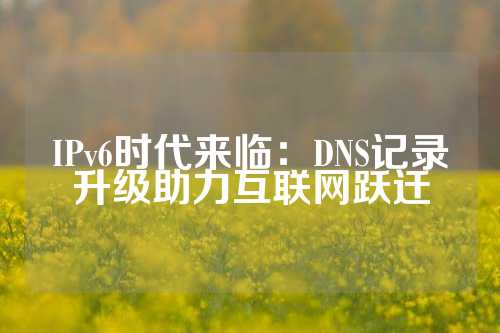 IPv6时代来临：DNS记录升级助力互联网跃迁